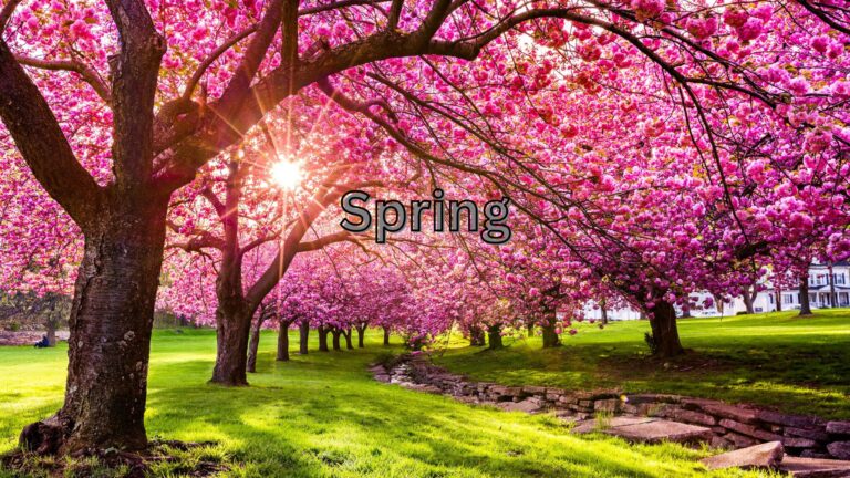 Spring equinox